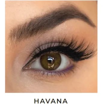 Labella Premium Haresiz Aylık Numarasız